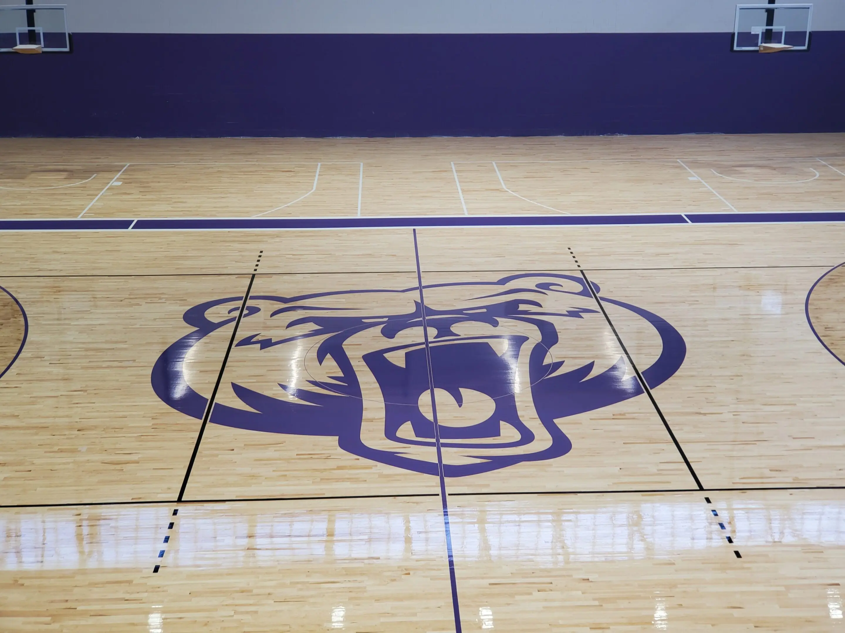 A floor with a bear logo on it.